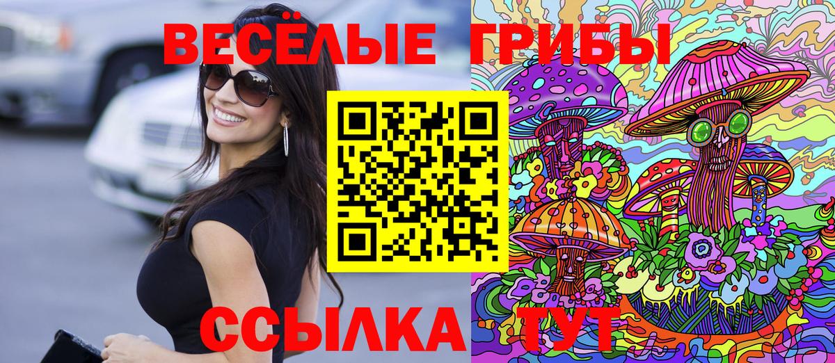 Азнакаево  Галлюциногенные грибы Psilocybe  Вход с VPN 