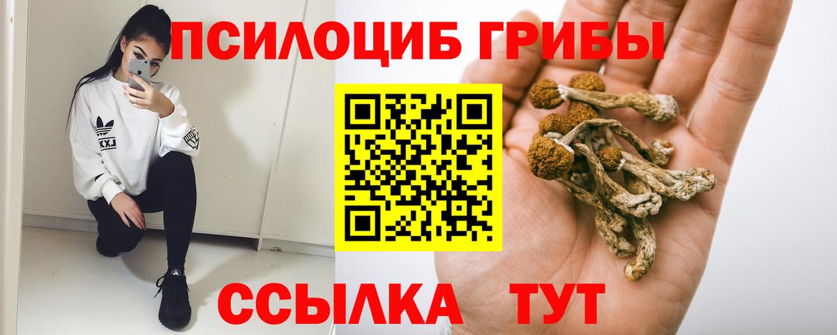 Галлюциногенные грибы Psilocybe Азнакаево
